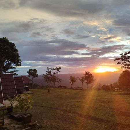 Bugo Camp Glamping & Natural Activity Munduk  Bagian luar foto